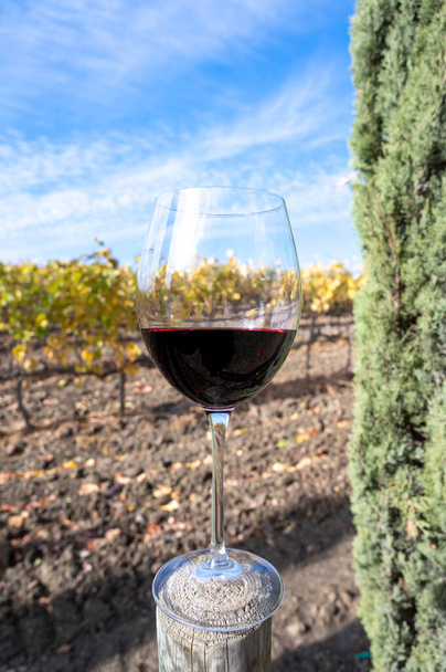 Degustação de vinho tinto sangiovês com vinhas típicas montanhosas e cipreste no fundo perto de Montepulciano, Toscana, Itália, no outono - Foto, Imagem