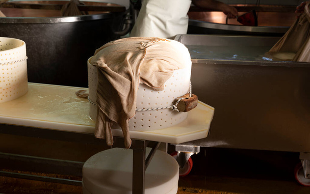 Традиционный процесс изготовления из коровьего молока колёс пармезана с пармезаном из пармезана на малой сырной ферме в Парме, Реджо-Эмилия, Италия - Фото, изображение