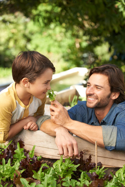 They love gardening together. Shot of a father and his son spending time together in the garden. - Photo, Image