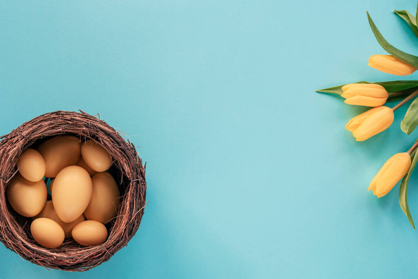 Nido con huevos pintados de amarillo y tulipanes sobre fondo azul. Concepto de Pascua. Vista superior, plano, espacio para copiar. - Foto, imagen