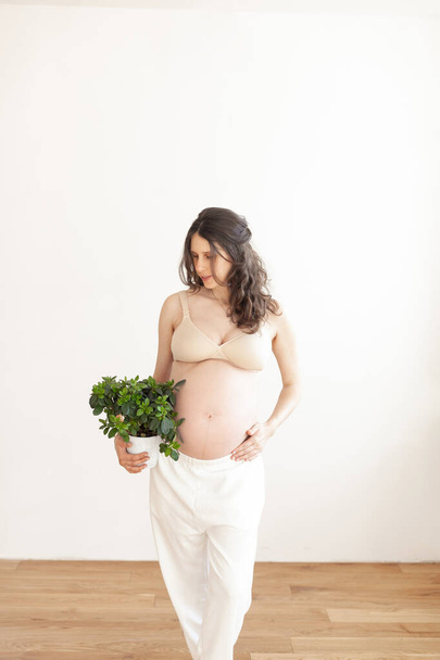 Giovane bella ragazza incinta in una stanza luminosa che tiene un fiore - Foto, immagini