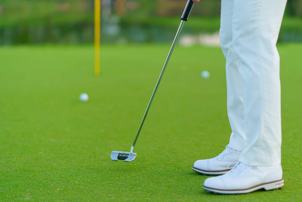 Golfer preparing for a putt Golf ball on the green during golfcourse. - 写真・画像