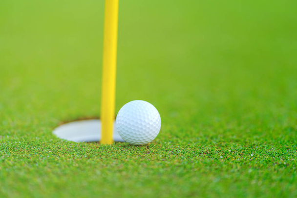 м'яч для гольфу на губі чашки на корті для гольфу
 - Фото, зображення