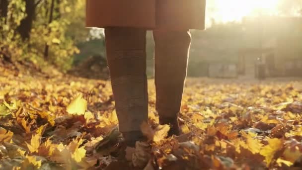 Fiatal nő alkalmi ruhában, hátizsákkal a kezében sétál az őszi parkban és sárga leveleket rúg. - Felvétel, videó