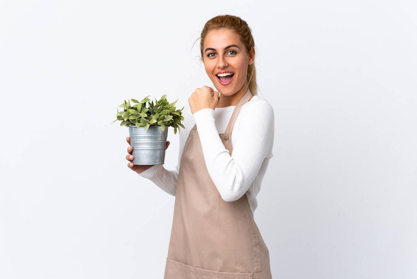 Young blonde gardener woman girl holding a plant over isolated white background celebrating a victory - Photo, Image