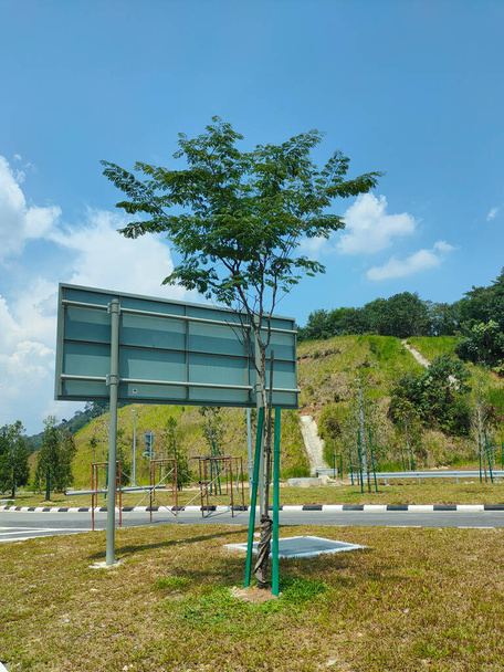 Seremban, Malezya - 17 Mart 2021: peyzaj çalışması. Yeni ağaçlar, devrilmelerini önlemek için tahta gibi destek araçlarıyla dikilir ve desteklenir. Bu araç daha sonra kaldırılacak.  - Fotoğraf, Görsel