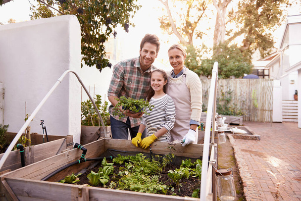 Green thumb family. Portrait of a happy family gardening together in their backyard. - Photo, Image