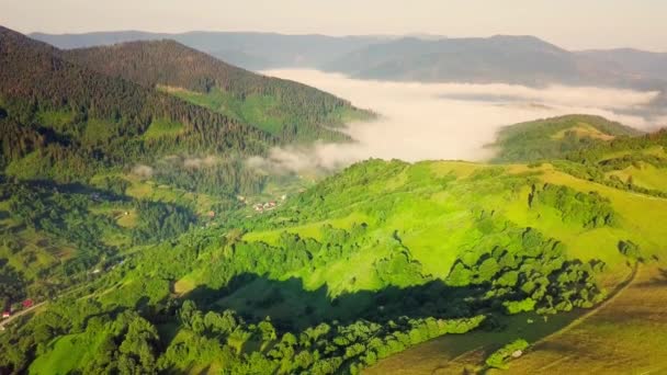 Karpatlar 'ın uçsuz bucaksız otlaklarının ve tarım arazilerinin havadan görünüşü. Tarım tarlası. Gün batımında kırsal dağ manzarası. Ukrayna. - Video, Çekim