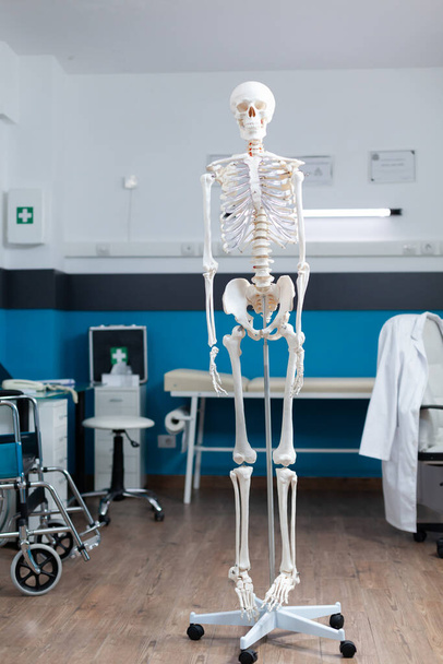 Empty doctor office having human body skeleton used as medical instrument - Photo, Image