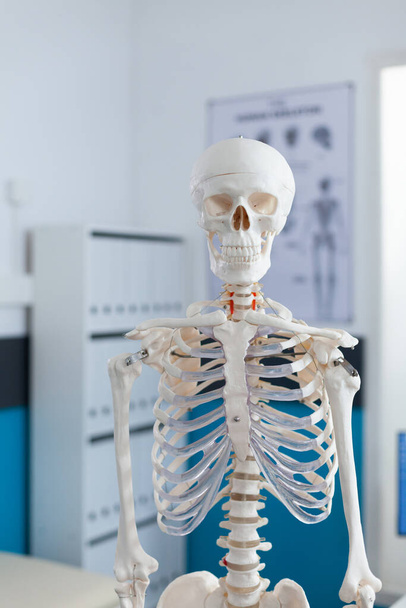 Portrait du squelette du corps humain debout dans un bureau vide avec personne dedans - Photo, image