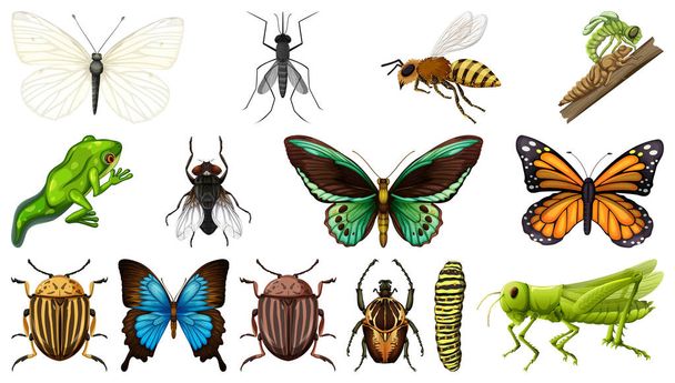 Різні колекції комах ізольовані на білому тлі ілюстрації
 - Вектор, зображення