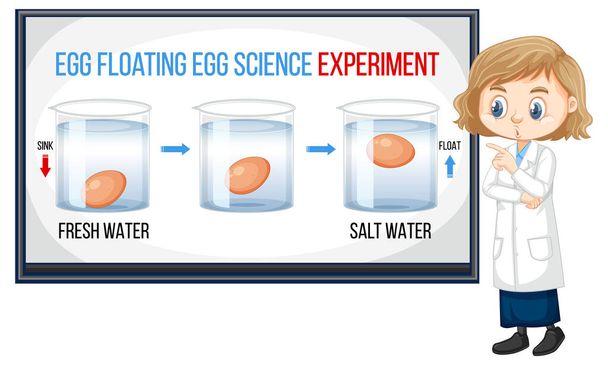 Bilim adamı kız, yüzen yumurta bilim deneyi örneklerini açıklıyor. - Vektör, Görsel