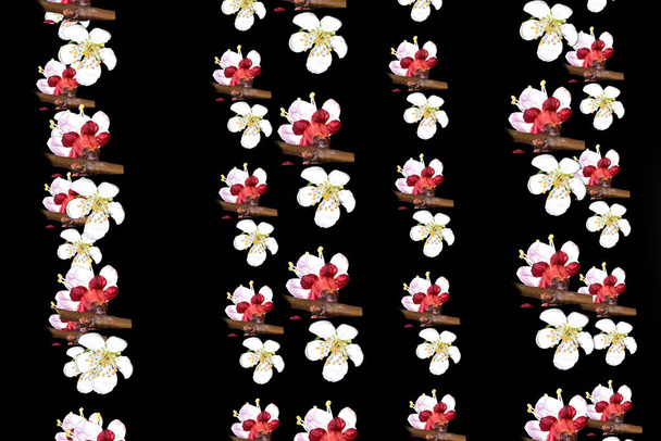 floral pattern with spring flowers on black background - Fotografie, Obrázek