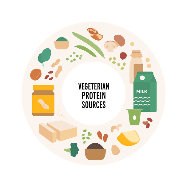 Food guide concept. Vector flat modern illustration. Vegaterian protein sources food plate infographic in circle frame. Colorful food icon set of vegetables, nuts, oats, mushroom and dairy products. - Vector, Image
