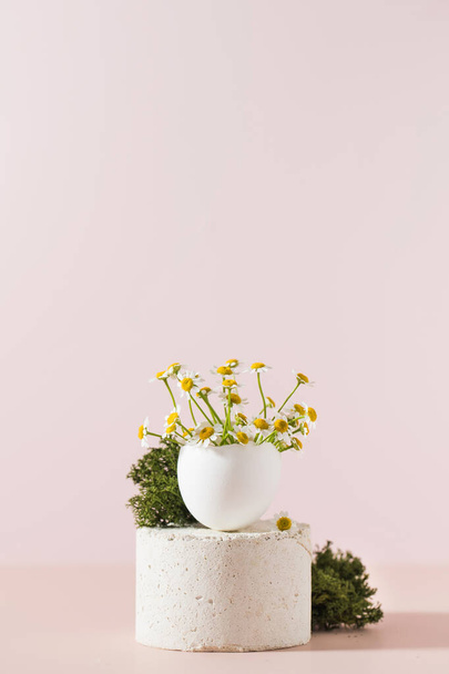 Spring and Easter concept, a bouquet of eggshell daisies on a podium on a light pink background. Art - Fotoğraf, Görsel
