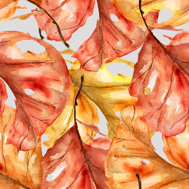 Осіннє розривне листя безшовний акварельний візерунок. Шаблон для прикраси дизайну та ілюстрацій
. - Фото, зображення