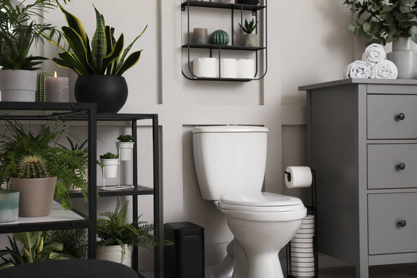 Stilvolles Badezimmerinterieur mit Toilettenschüssel und vielen schönen Zimmerpflanzen - Foto, Bild
