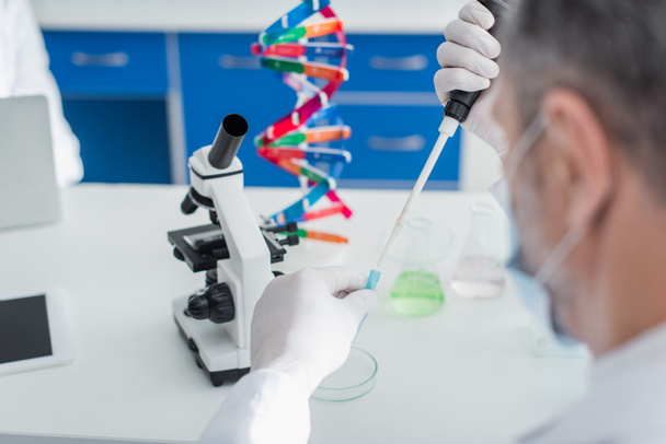 Tıbbi maskeli bulanık genetikçi mikroskop ve DNA modelinin yanında mikro pipetle çalışıyor. - Fotoğraf, Görsel