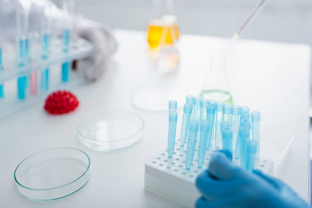 обрезанный вид ученых возле пробирки и размытые чашки Петри в лаборатории - Фото, изображение