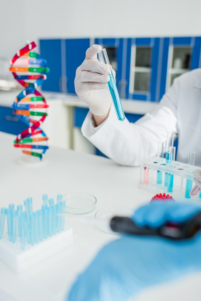 частковий вигляд вченого, який тримає пробірку біля моделі ДНК на розмитому передньому плані
 - Фото, зображення
