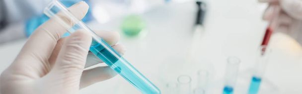 visão parcial do cientista no tubo de teste de retenção de luva de látex com líquido azul, banner - Foto, Imagem