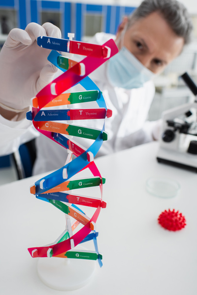 selektivní zaměření modelu DNA v blízkosti genetika v lékařské masce na rozmazaném pozadí - Fotografie, Obrázek