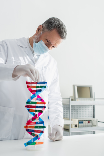 генетик у медичній масці, дивлячись на модель ДНК в біолабораторії
 - Фото, зображення