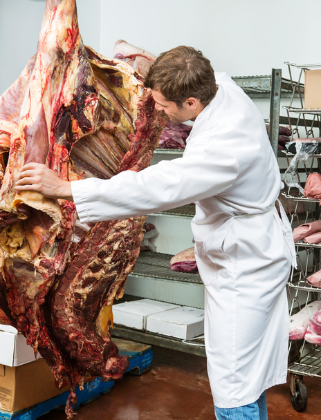 Butcher grading side of beef - Foto, immagini