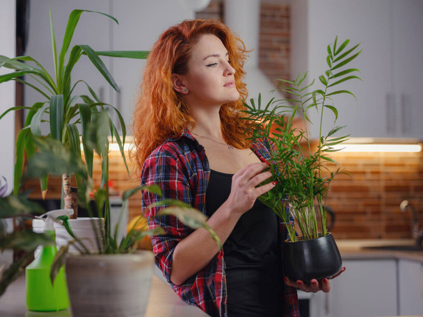 Young smiling female gardener in plaid shirt taking care of plants. Home gardening, houseplant love, freelancing. Home gardening and slow life rituals. Indoor gardening. - Fotó, kép
