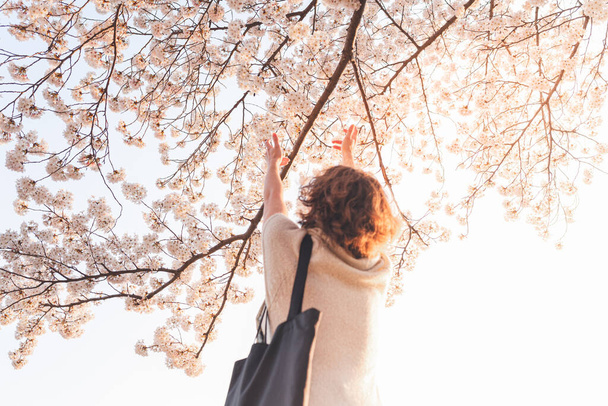 hermosa joven adolescente o mujer joven, con el pelo castaño, levantando las manos, admira flores de cerezo, vista desde la parte posterior, en el sol. emociones positivas, armonía, felicidad, amor - Foto, imagen