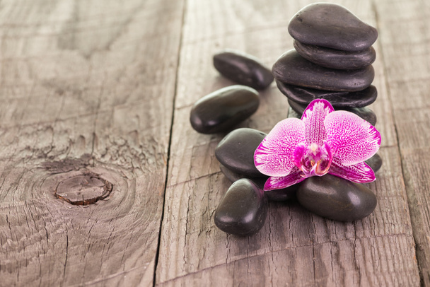 Fuchsia Moth orchid and black stones on weathered deck - Photo, Image