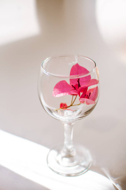 Pink flower in a transparent glass as a symbol of tenderness in the rays of the sun - Фото, изображение