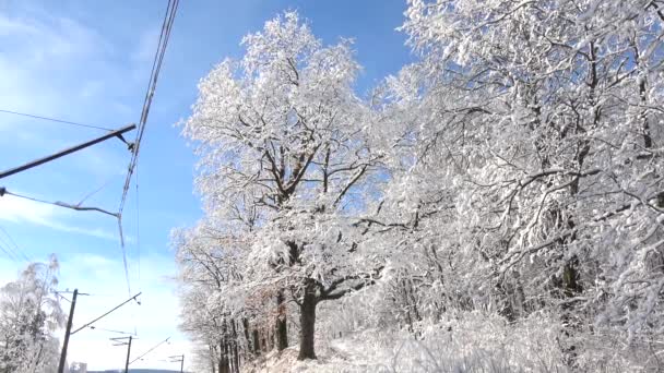 Schöne Landschaft mit Bäumen, die mit Schnee und blauem Himmel bedeckt sind. Winterzeit.  - Filmmaterial, Video