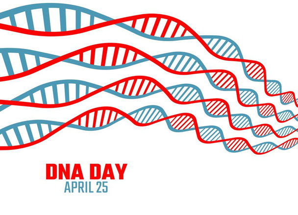 Векторная графика дня ДНК подходит для празднования дня ДНК. плоский дизайн. Плоская иллюстрация для листовок. - Вектор,изображение