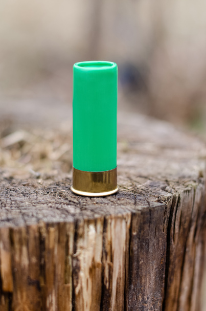 close up of shoot gun shell on wooden stump in woods - Фото, изображение