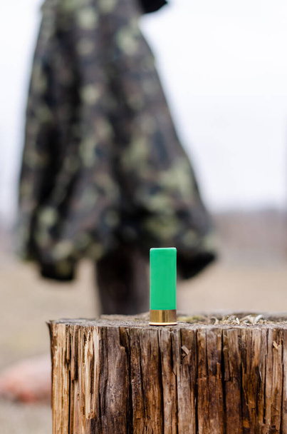 патрон дробовика на деревянной пне в лесу с размытым фоном  - Фото, изображение