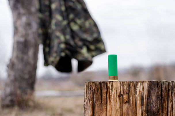 патрон для дробовика на деревянном пне в лесу - Фото, изображение