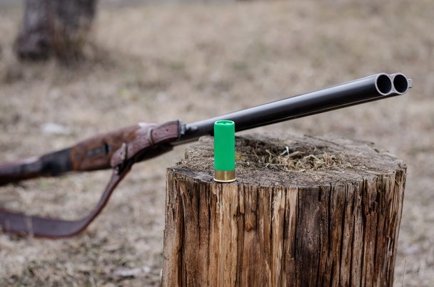 Ormanda tüfeğin yanında tahta kütüğün üzerinde pompalı tüfek mermisi. - Fotoğraf, Görsel