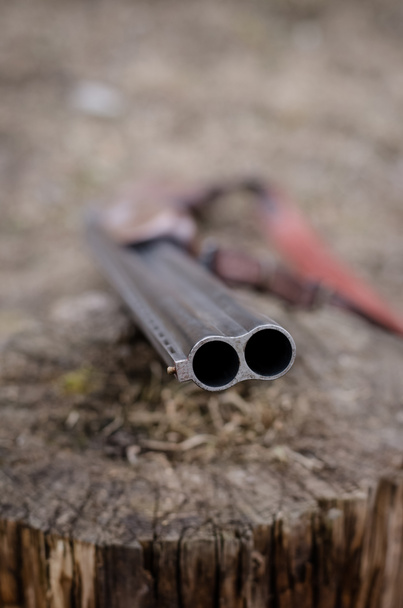 close up of rifle in woods - Foto, Imagem
