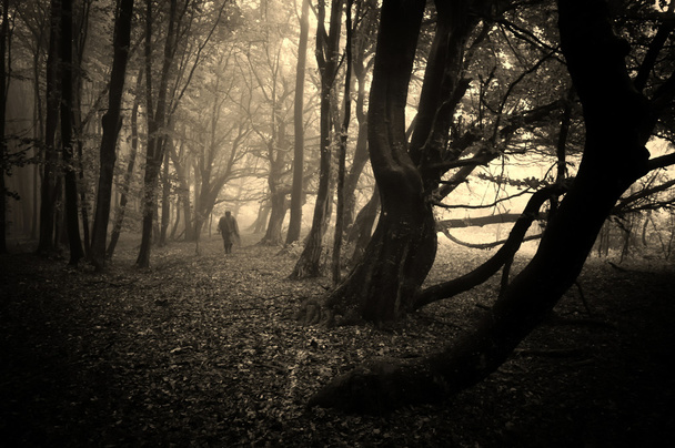 Fantasma na misteriosa floresta escura com nevoeiro no Halloween
 - Foto, Imagem