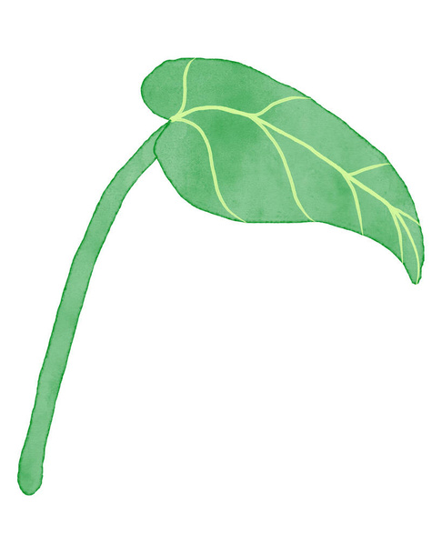 Zielony liść akwarela teksturowane malowane ilustracja na białym tle. - Zdjęcie, obraz