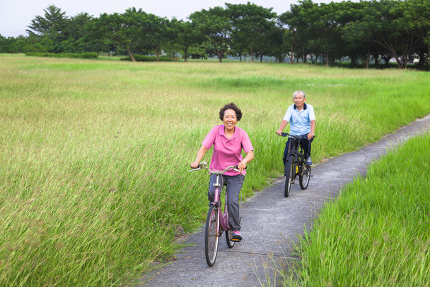 feliz ásia idosos casal de bicicleta no o parque
 - Foto, Imagem