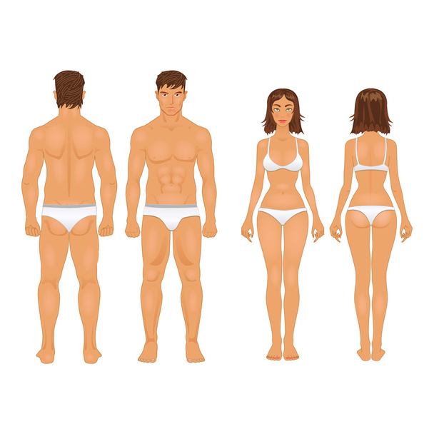 healthy body type of man and woman in retro colors - Vettoriali, immagini