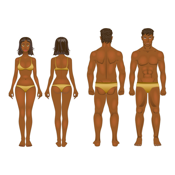 vector young woman and guy in underwear. Body templates - Διάνυσμα, εικόνα