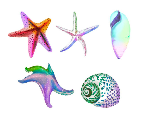 Σετ υδατοχρωμάτων από θαλασσινό ουράνιο τόξο. φωτεινό πολύχρωμο σύνολο: όστρακα, αστερίας και αχινός - Φωτογραφία, εικόνα