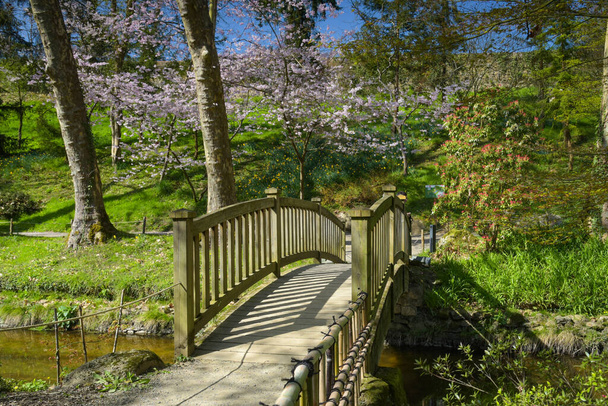 beautiful wooden bridge in the oriental park of Maulevrier - Photo, Image