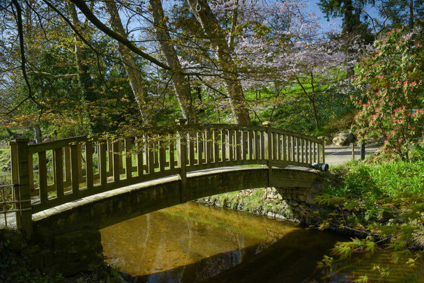όμορφη ξύλινη γέφυρα στο ανατολίτικο πάρκο του Maulevrier - Φωτογραφία, εικόνα