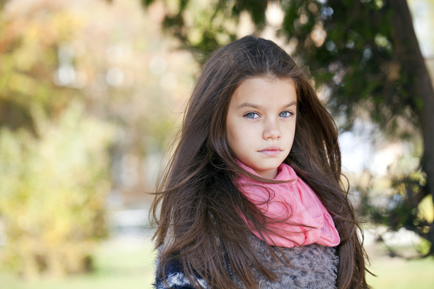 Beautifal little girl in the autumn park  - Fotó, kép