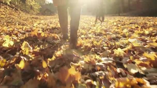 Güz parkında yürüyen ve sarı yaprakları tekmeleyen sıradan giyinmiş, elinde sırt çantası olan genç bir kadın. - Video, Çekim