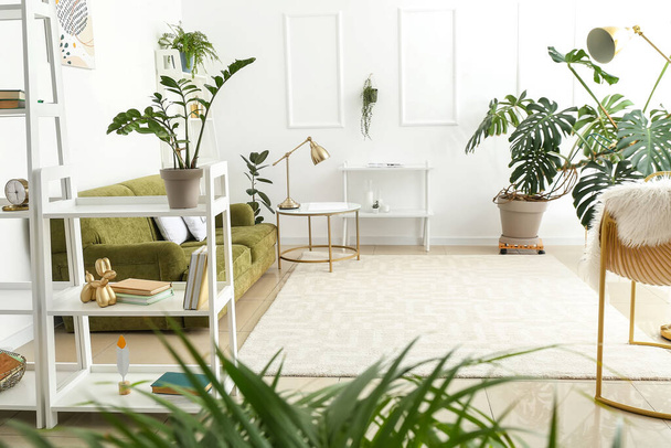 Interno di soggiorno luminoso con scaffali per libri, divano verde e piante d'appartamento - Foto, immagini